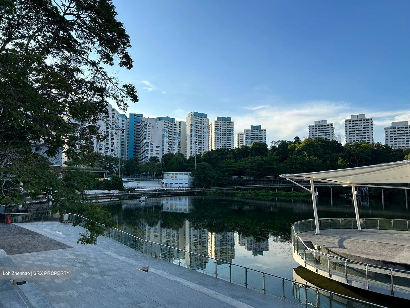 Blk 543 Panshan Grove (Bukit Panjang), HDB Executive #550814481
